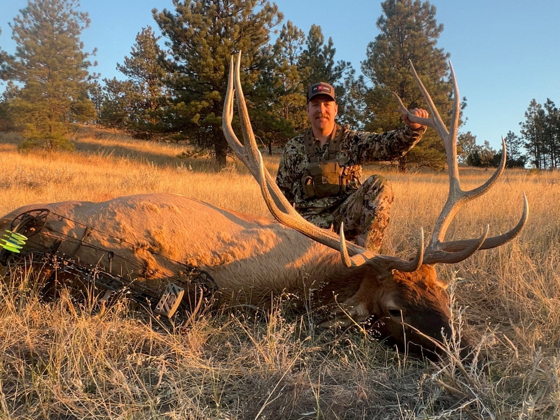 Building Hunting Systems: How to Stop Wandering and Start Winning in the Backcountry